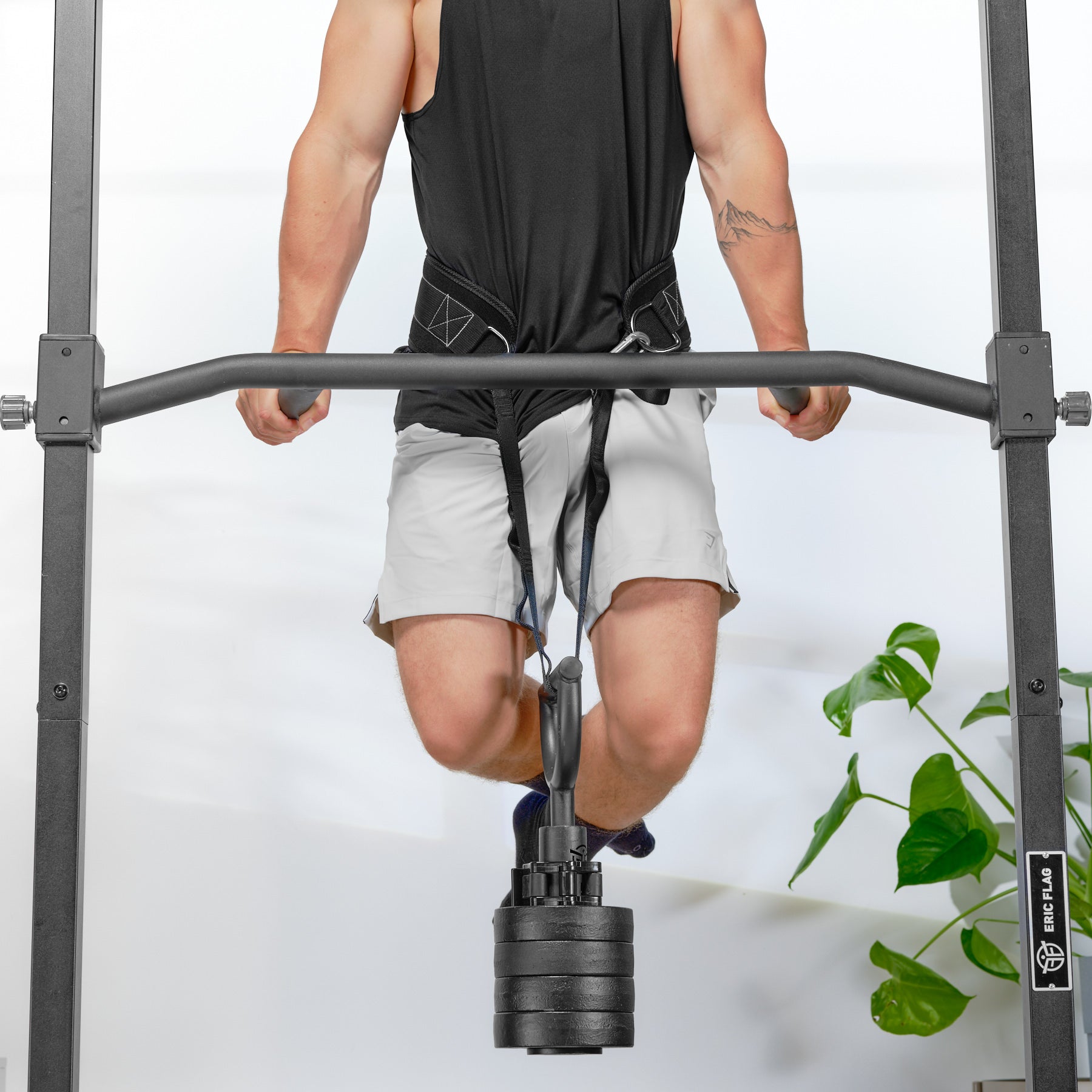 barre de dips eric flag ceinture de lest