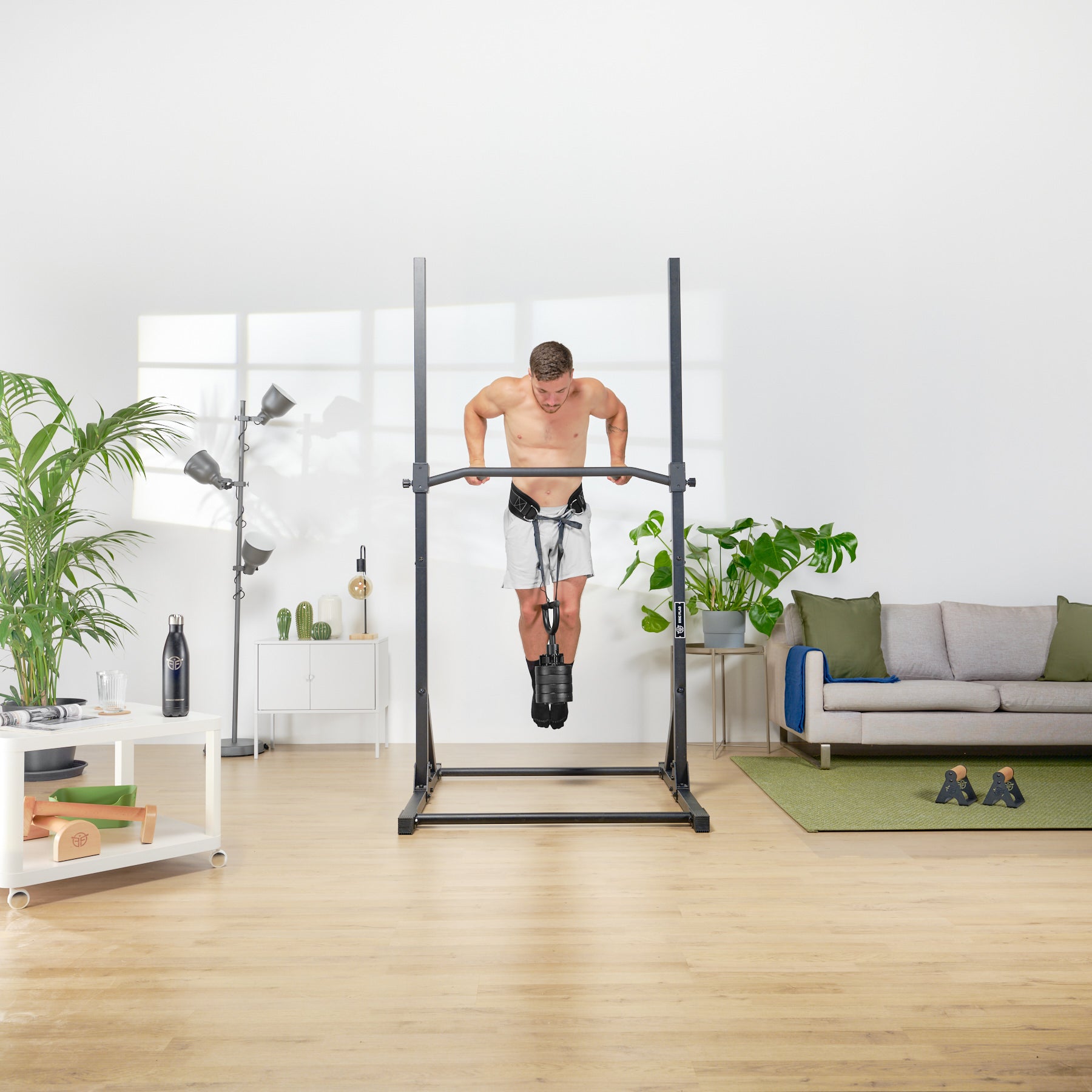 barre de dips eric flag